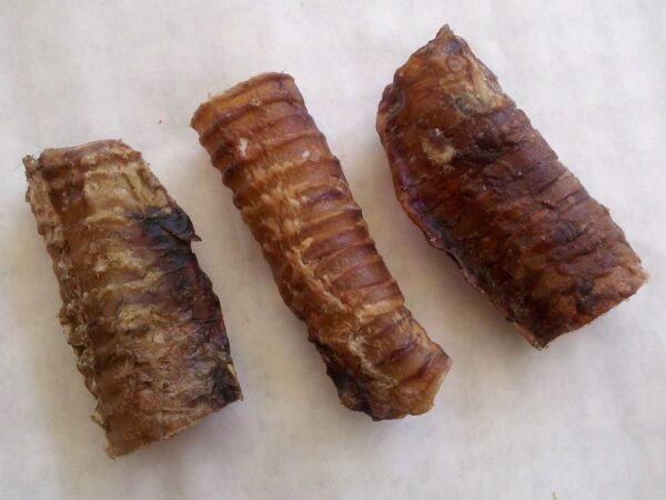 beef-tracheas