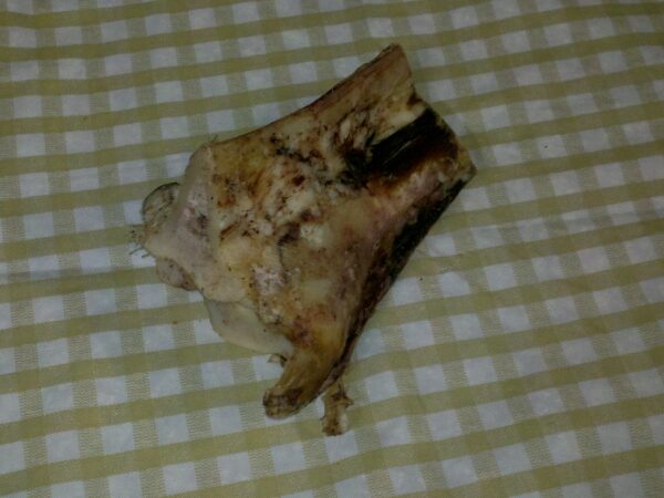 1264262940.1408910142.1278874840.1278093536.1