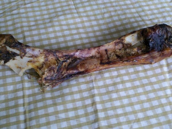 1264262940.1408910142.1314736615.1322839756.1