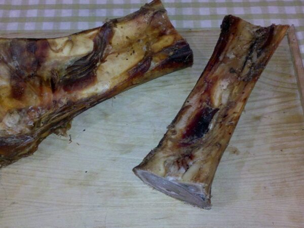 1264262940.1408910142.1399005936.1237591267.1